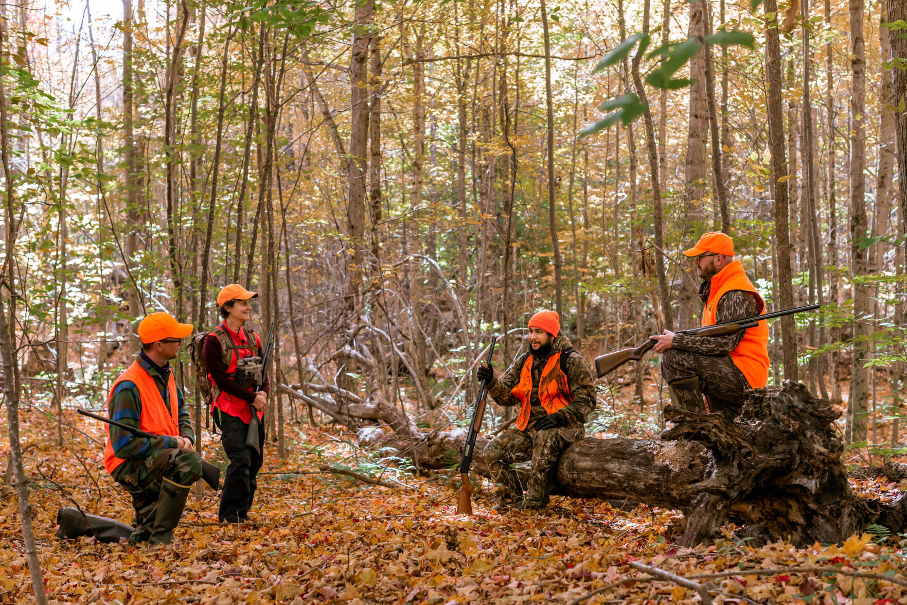 Hunters in orange